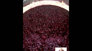 Vinification en rouge  macération [upl. by Sitruk]