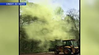 Pollen bomb after digger hits tree in Millville New Jersey [upl. by Tilda708]