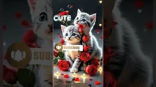 Cutecatytshorts subscribecute teddyclipcatanimals kittenshortsvideoviralvideoshortsviral [upl. by Netsruk]