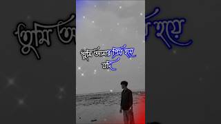 Dukher gaan  bhalobasa tiktok  custerd tiktok l shorts youtubeshorts viral loveকষ্টেরsad [upl. by Rise980]