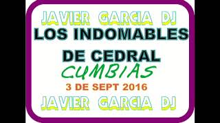 indomables de cedral mix cumbias JGDJ [upl. by Bunce]