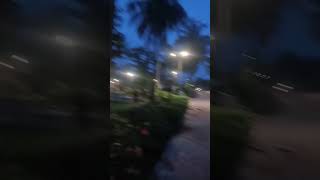 Palm paradise resort badlapurshortvideo [upl. by Godfree402]