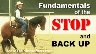 How to Train a Horse to Stop amp Back Up  Basics of sliding stop for reining or cutting [upl. by Bessie499]