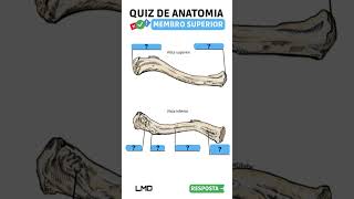 🔴👉 QUIZ DE ANATOMIA 🟨 Aula de Anatomia humana shorts [upl. by Notsgnik60]