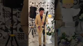 Aquarela Do Brasil  Gal Costa Cover Sax [upl. by Keg]