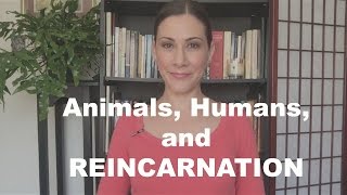 Animals and Reincarnation [upl. by Ellora623]