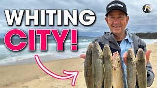 ULTRALIGHT Beach Fishing for WHITING Epic Session ✅ [upl. by Tinya963]