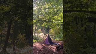 Sleepsong Secret Garden 🌛🌳 celticmusic [upl. by Enihpled]