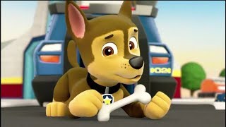 Paw Patrol 2019  Cartoon Movies For Kids  Pups Save a Bat Pups Save a Toof [upl. by Weissberg]