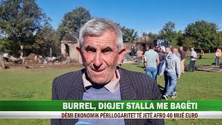 BURREL DIGJET STALLA ME BAGËTI [upl. by Gable568]