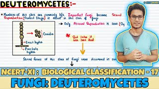 Biological Classification Lec 17 Fungi Deuteromycetes Class 11 NEET Neetology [upl. by Zoilla]