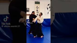 Aikido master amazing skills martial arts extreme stunts hapkido weak points dim mak touch death [upl. by Zenger]