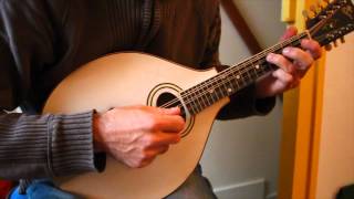 Irish mandolin lessons The Gravel Walk reel [upl. by Llehcram]