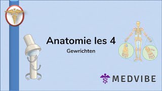 Anatomie les 4 Gewrichten [upl. by Roxana5]