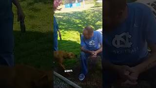 🐾 Emotional Reunion Loyal Dog Remembers Owner After Long Separation pet dog doglover [upl. by Eserahc]