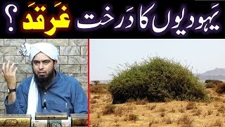 Yahoodion JEWS kay Drakhat TREE quot GHARQAD quot ki Haqeeqat  By Engineer Muhammad Ali Mirza [upl. by Pickford]