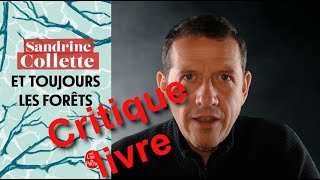 Critique livre – Et toujours les forêts de Sandrine Collette  un survival qui manque de crédibilité [upl. by Letsou]