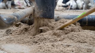 Ligboxen automatisch vullen buizensysteem met vlaskalk  Berg Fourage [upl. by Michey]