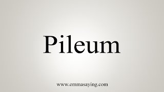 How To Say Pileum [upl. by Bondon]