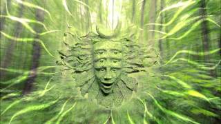 Shpongle  I Am You HD [upl. by Quar956]