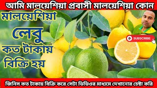 লেবু মালয়েশিয়ায় কত টাকায় বিক্রি হয়How much is lemon sold in Malaysiavlog vlogs travelvlog [upl. by Anaehr]