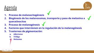 Melanogénesis y trastornos de pigmentación [upl. by Leugimsiul]