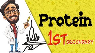 Protein 1sec biology دكتور مصطفي خضر [upl. by Whiting]