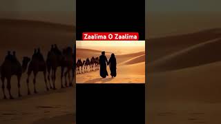 Zaalima O Zaalima  Raees movie song  Desi Lofi shorts shahrukh zaalima raees bollywoodtunes [upl. by Arracot473]