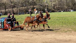 Chuckwagon Racing [upl. by Huesman]