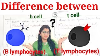 What is the difference between B cells and T cells  B lymphocytes vs T lymphocytes [upl. by Nidraj]