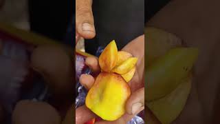 🍑 Nectarine Fruit MIK Farm in Hazro Attock [upl. by Abott788]