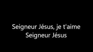 Seigneur Jésus je taime [upl. by Anehs]