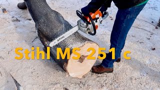 Stihl MS 251 cbe Chainsaw in Action  Cutting Up A Tree [upl. by Amado]