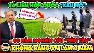 Lãnh Đạo Angola Nói Một Câu Khiến Liên Hợp Quốc Xấu Hổ Hơn 40 Năm Không Bằng VN Giúp Mấy Năm [upl. by Imelda]