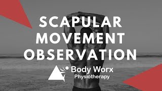 Scapular Movement Observation  BodyWorx Physiotherapy Newcastle [upl. by Ahsinwad]