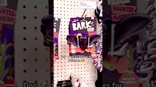 Chew it Super Chewers Haunted Playground Bark Dog Toys amp Costumes halloween doglover shorts [upl. by Burman]