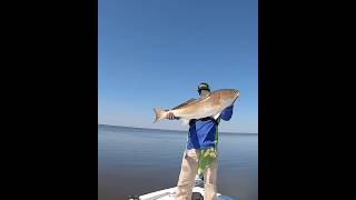 Giant Redfish In Louisiana’s Biloxi Marsh [upl. by Eecyak]