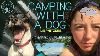 Camping With A Dog in Germany  Liepnitzsee Lake Vlog [upl. by Hassadah]