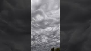 Asperatus Clouds shorts [upl. by Malo]