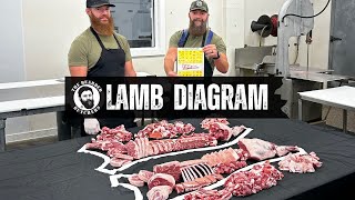 A Visual Guide to the Cuts of a Lamb Where Every Lamb Cut Comes From  By The Bearded Butchers [upl. by Matthiew]