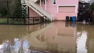 Residents clean up mud and water from flooding on Mill Court in Guerneville Sonoma County [upl. by Jamieson]