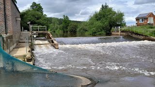 Buttercrambe Weir Fish Pass River Derwent [upl. by Fleeta240]