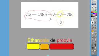 Nomenclature 33 [upl. by Ahsinotna518]