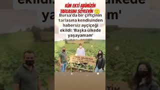 BURSADA BİR ÇİFTÇİ ABİMİZİN TARLASINI KENDİSİNDEN HABERSİZ BAŞKALARI EKTİBAŞKA ÜLKEDE YAŞAYAMAM [upl. by Alidis]