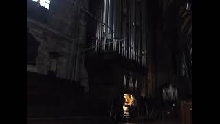 Davy Jones Theme  Vienna main cathedral organ [upl. by Culberson]