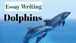 Essay on Dolphins in English essaywriting dolphins english paragraph youtube [upl. by Giesser]