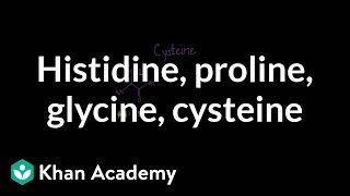 Special cases Histidine proline glycine cysteine  MCAT  Khan Academy [upl. by Serafina308]