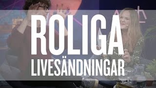 MVH TV  Roliga livesändningar och sjukt bra TVserier [upl. by Nnovahs]