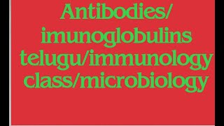 antibodies immunoglobulinsmicrobiology class telugumedtelugu [upl. by Ettenor]