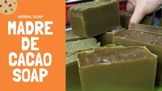 HOW TO MAKE MADRE DE CACAO SOAP  HERBAL SOAP  PET SOAP [upl. by Ensign244]